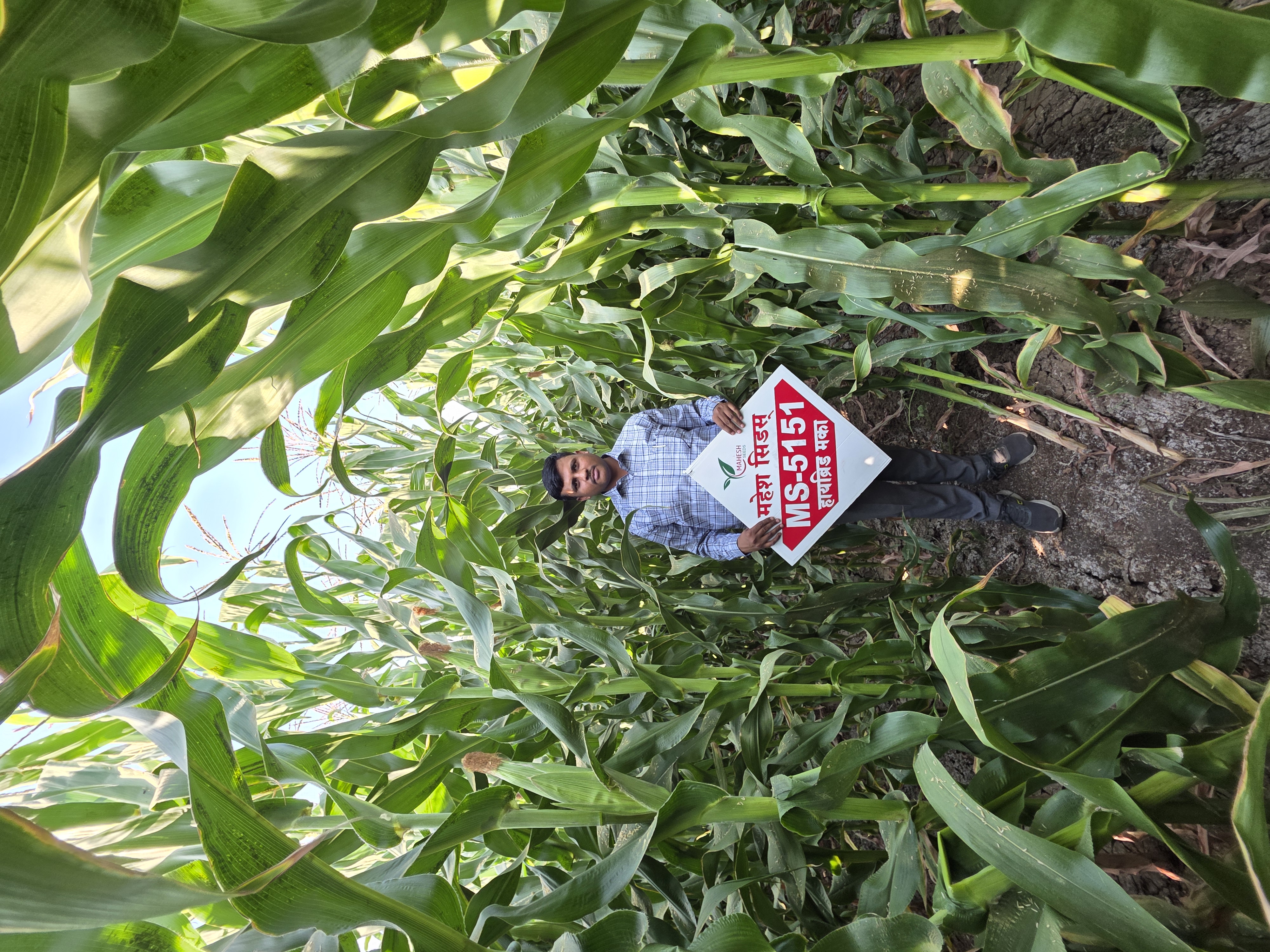 Farmer in field